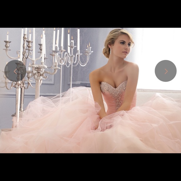 Wedding/Quinceañera Gown